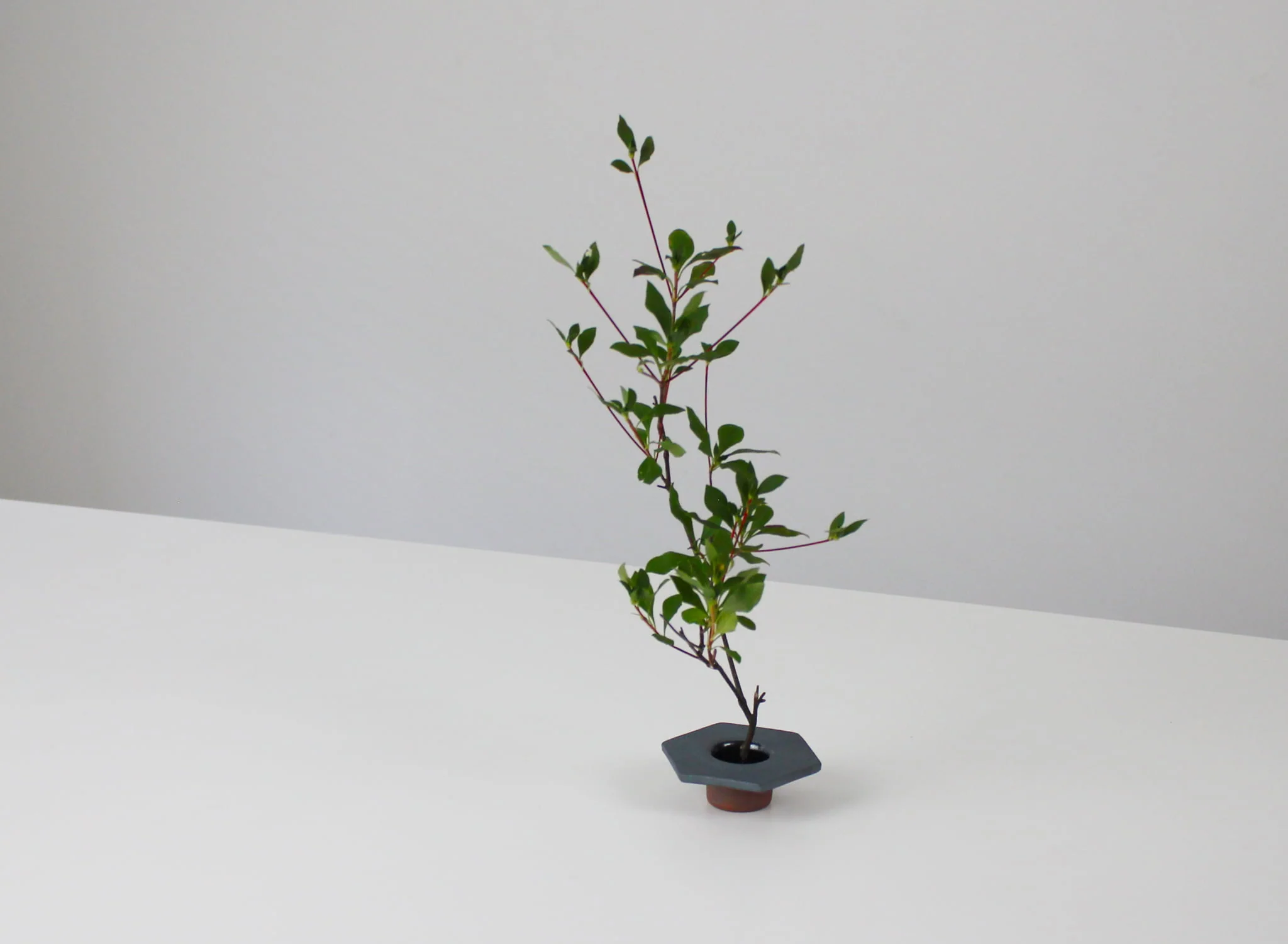 Japanese Ikebana Vase "Kenzan - aya 3set" - Image 5